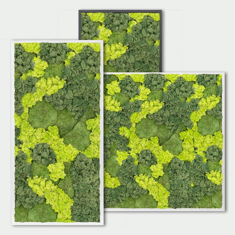 Maßgefertigtes Moosbild mit Moosmischung