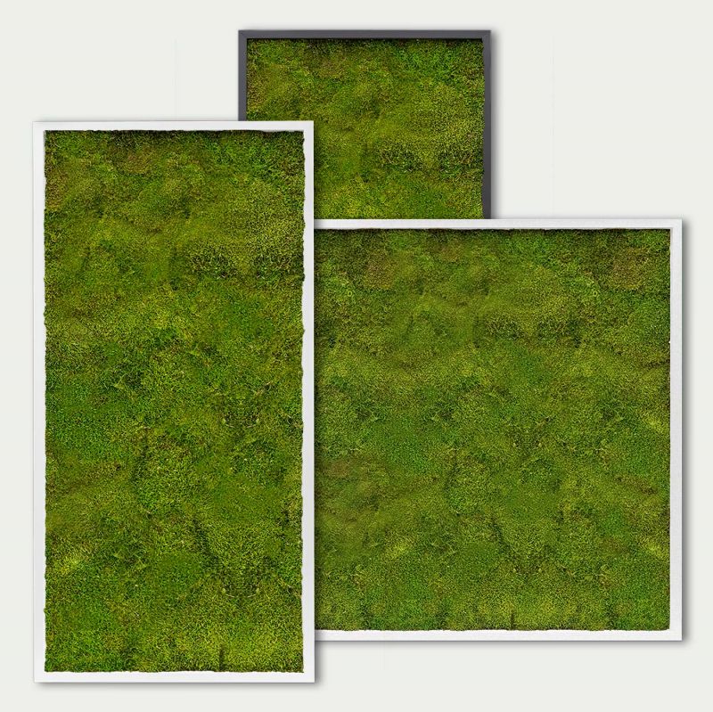 Maßgefertigtes Flachmoosbild